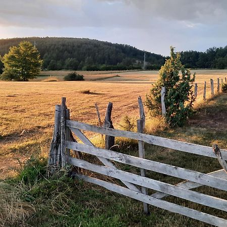 Seoski Turizam Melovic Rozanstvo Exteriér fotografie
