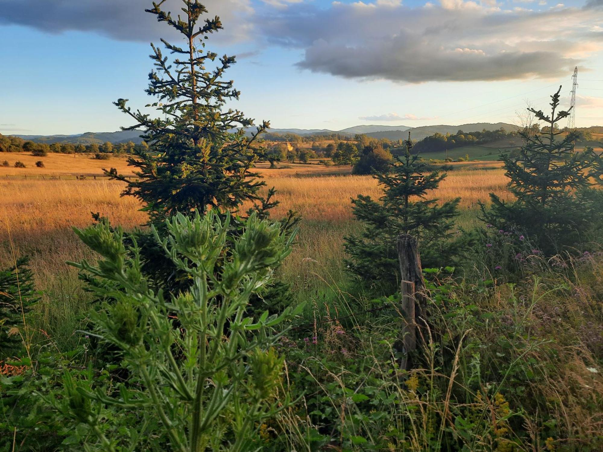 Seoski Turizam Melovic Rozanstvo Exteriér fotografie