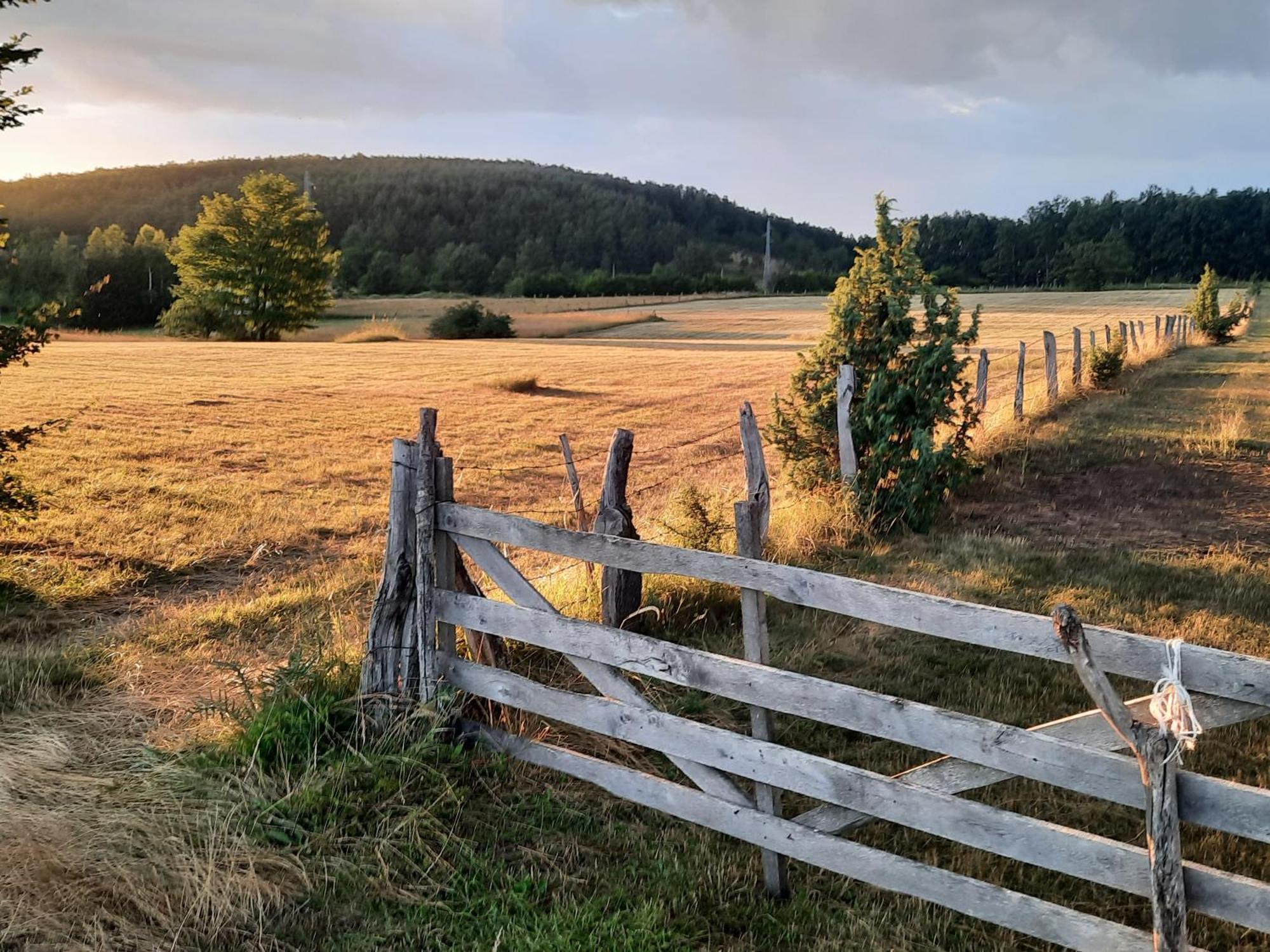 Seoski Turizam Melovic Rozanstvo Exteriér fotografie